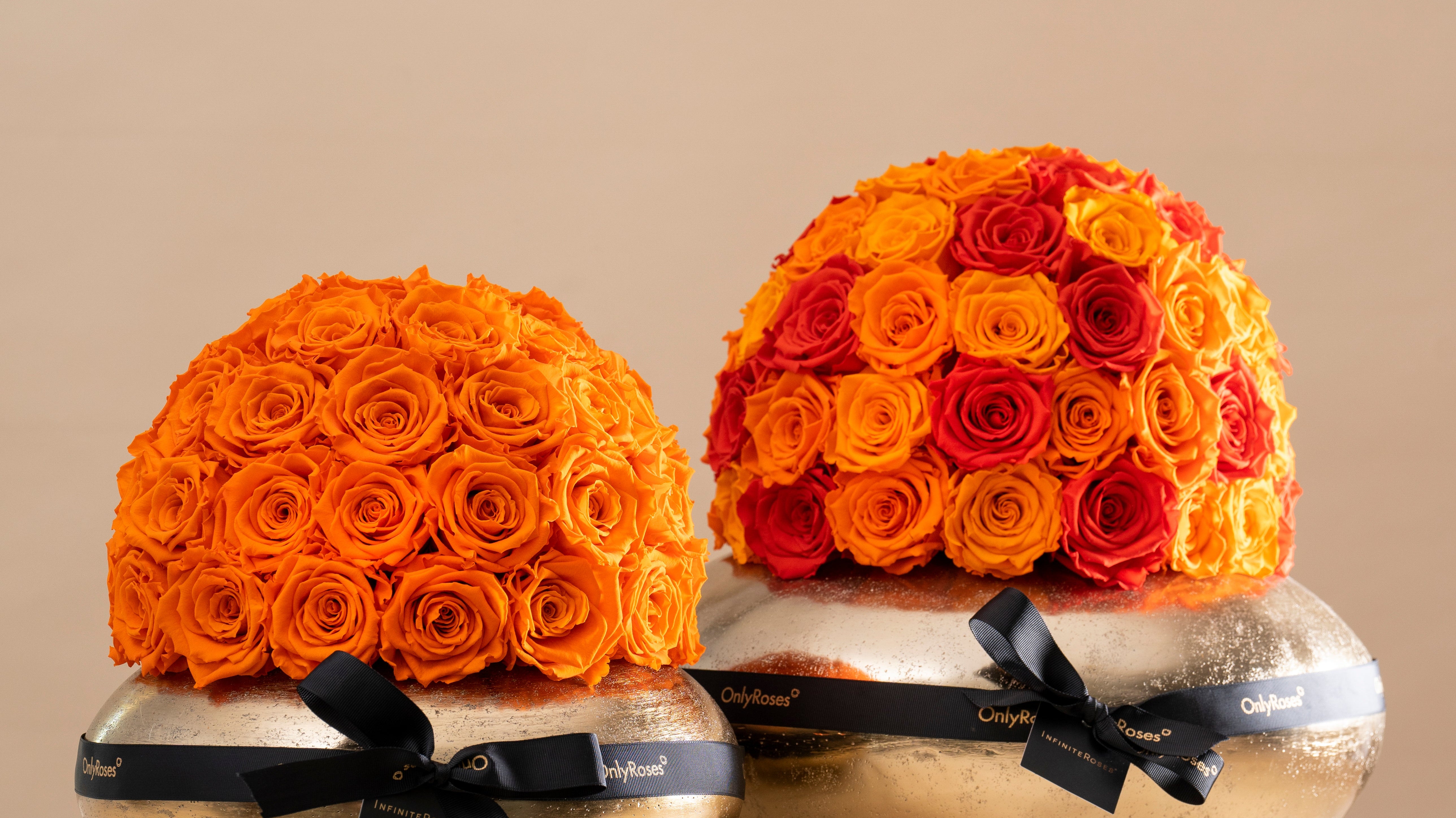 Rose Types, Decoded: What Gift-Buyers Actually Need to Know