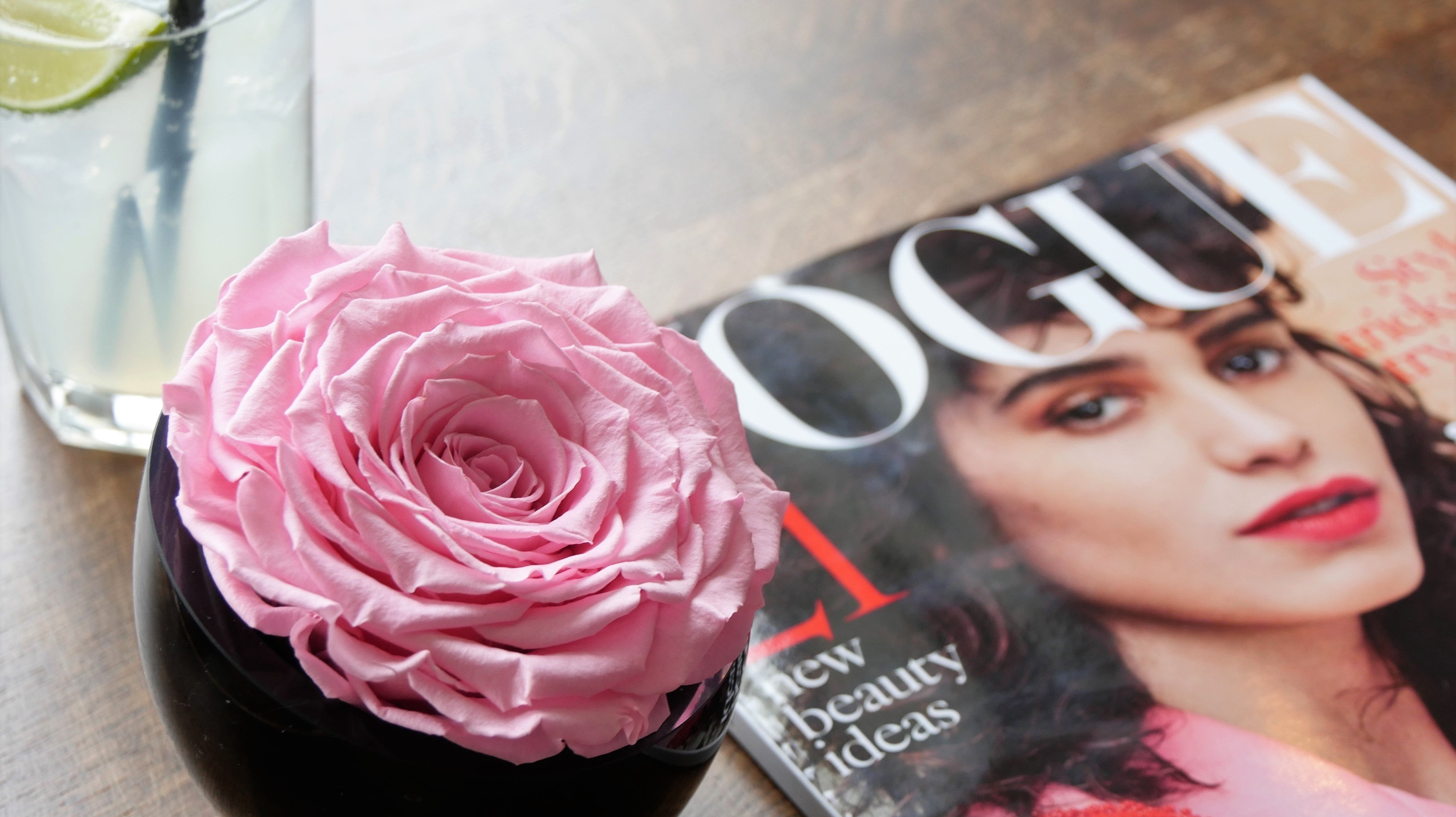 One Perfect Rose: The Power of the Single Stem