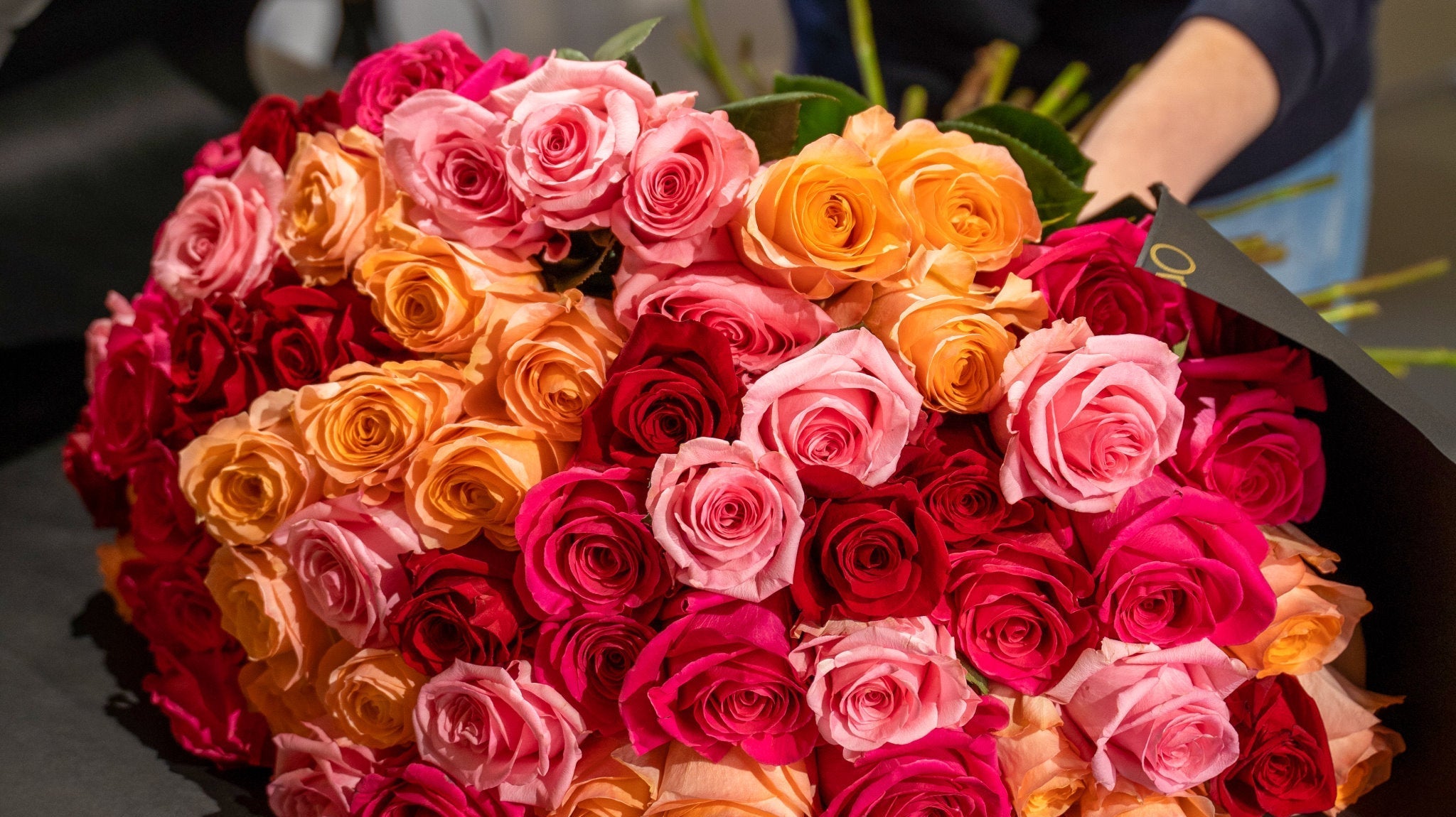 Celebrating International Women’s Day 2026: Honouring Achievements, Inspiring Futures