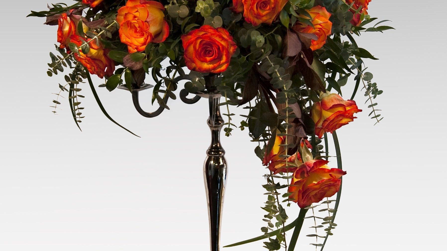 What Makes a Rose Special? The Botany of Luxury