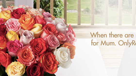 Mother's Day Roses