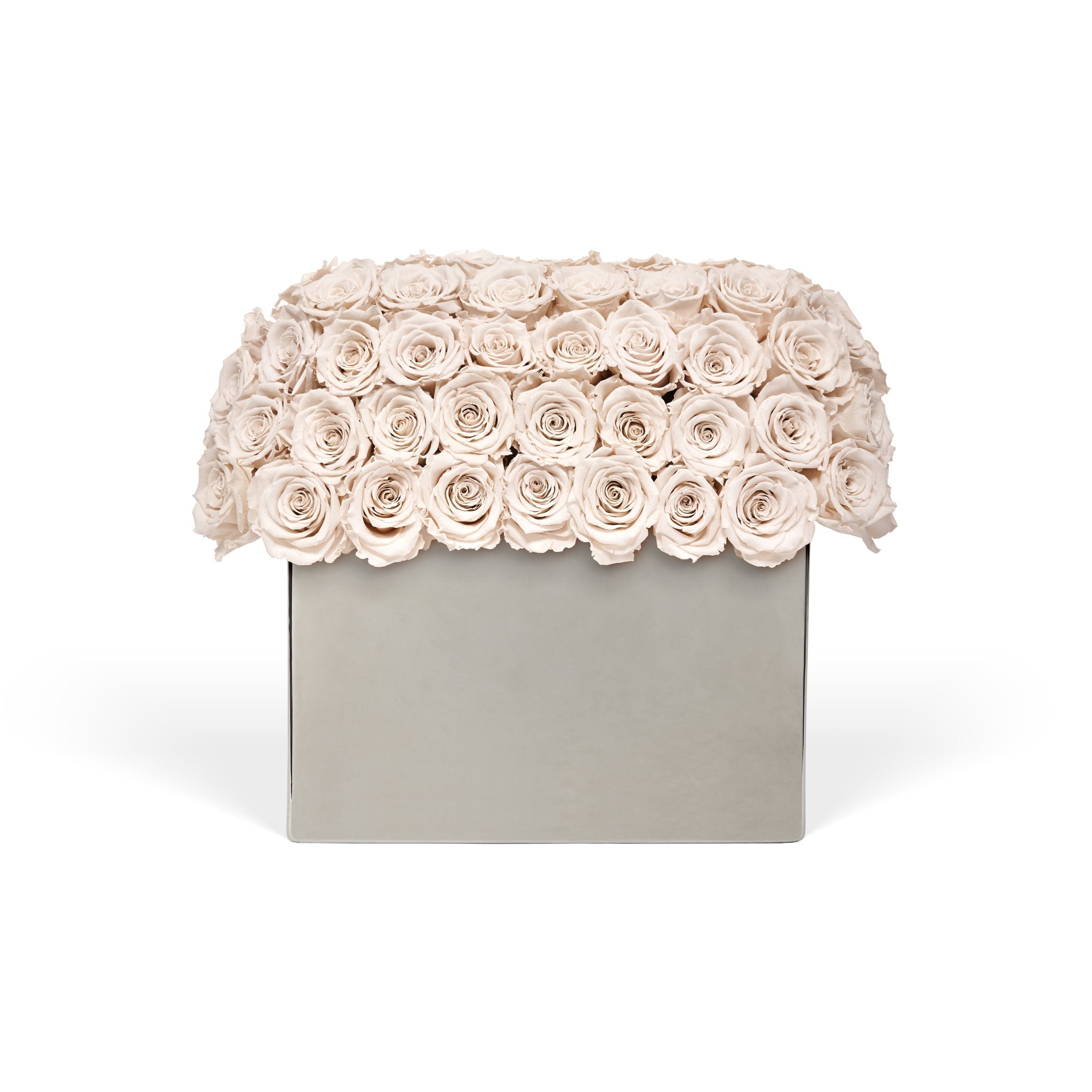 Infinite Rose Modernist