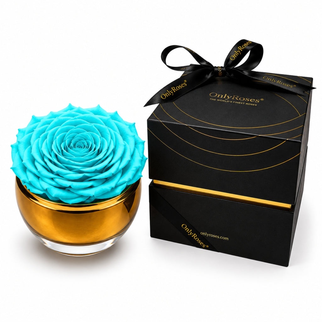 Infinite Rose Aurelia