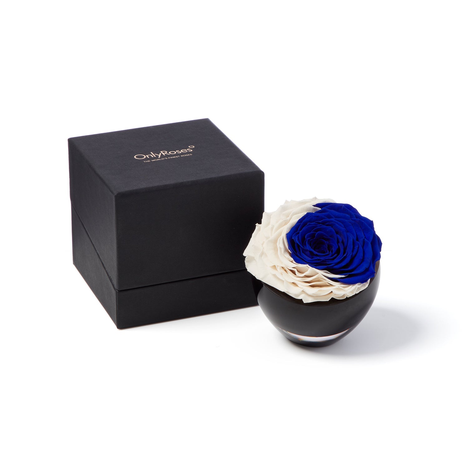 Crescent Moon Infinite Rose