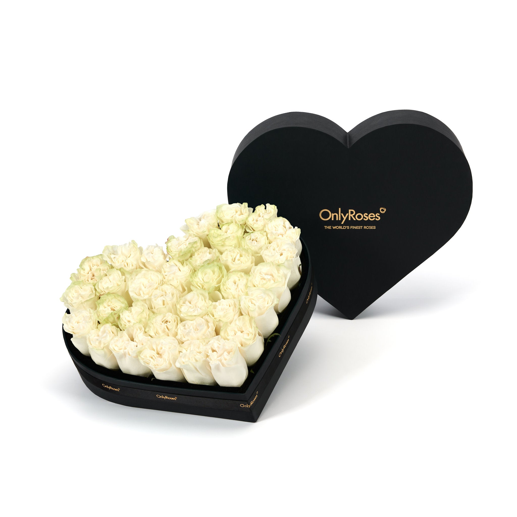 Heart-shaped box of white roses with 'Only Roses' branding on a white background M Size