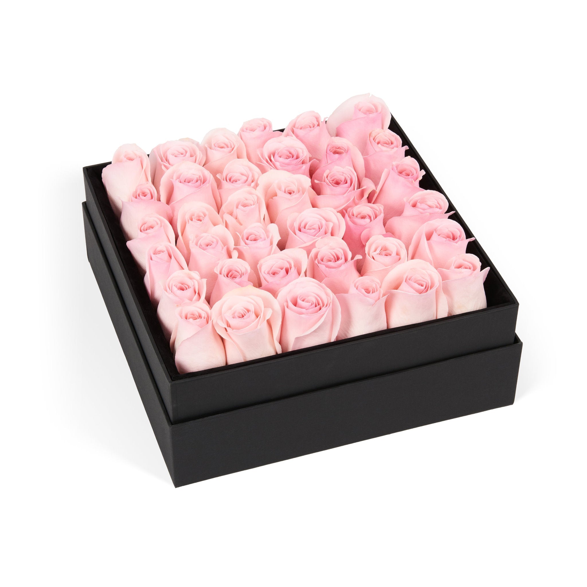 Black box filled with pink roses on a white background