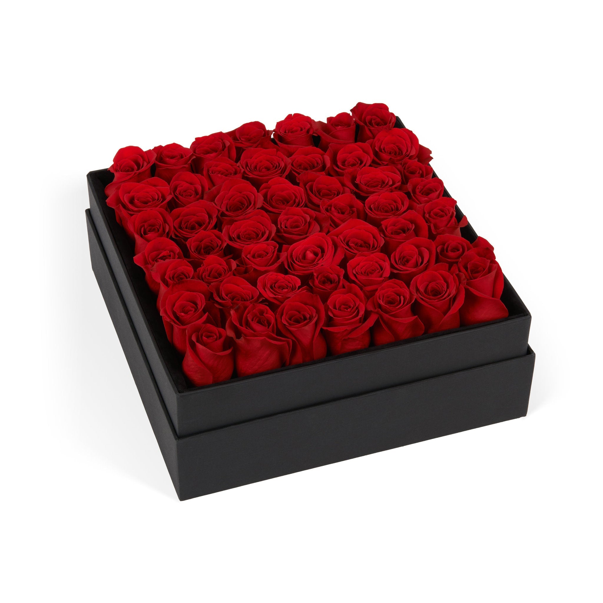Black box filled with red roses on a white background