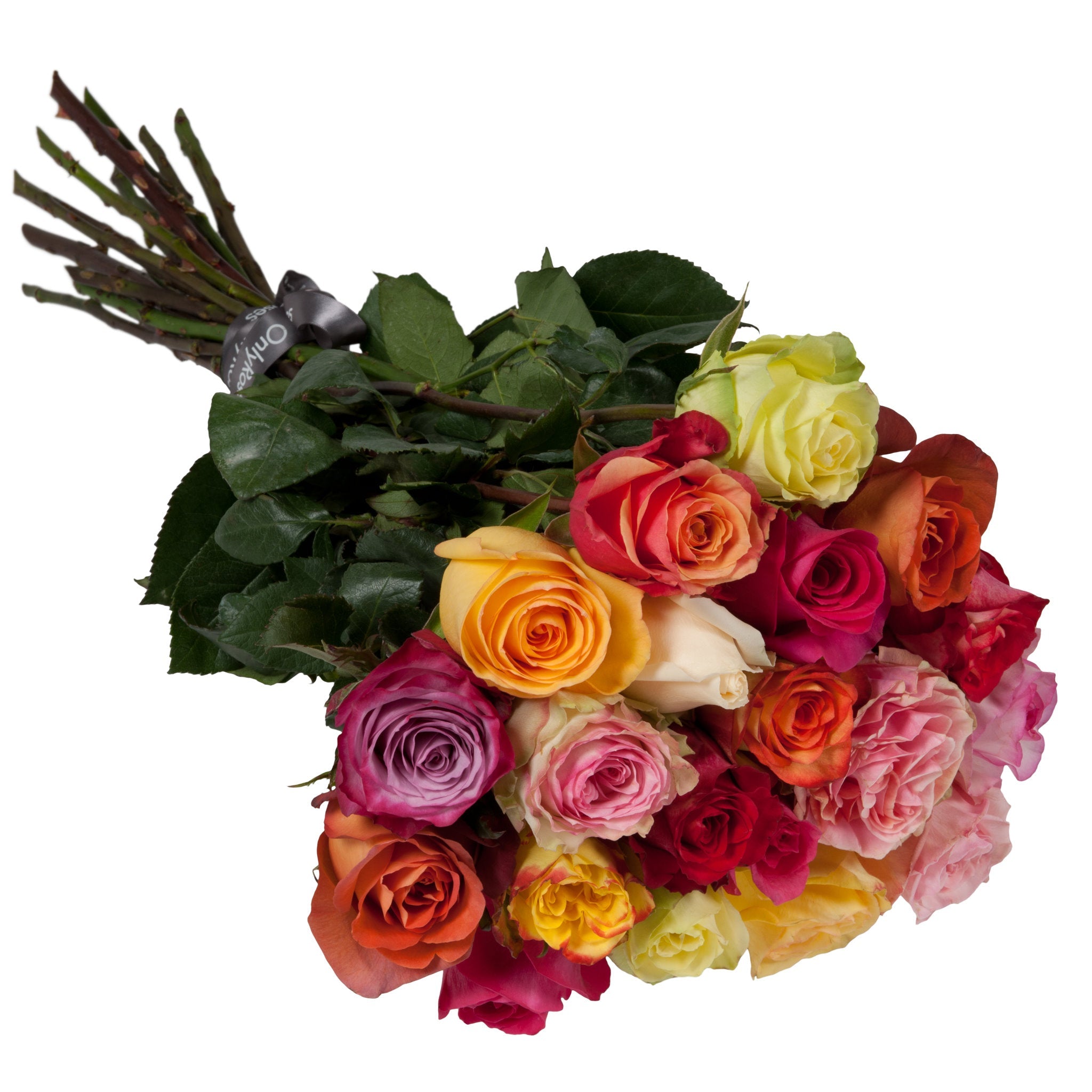 Bouquet of colorful roses with green leaves on a white background