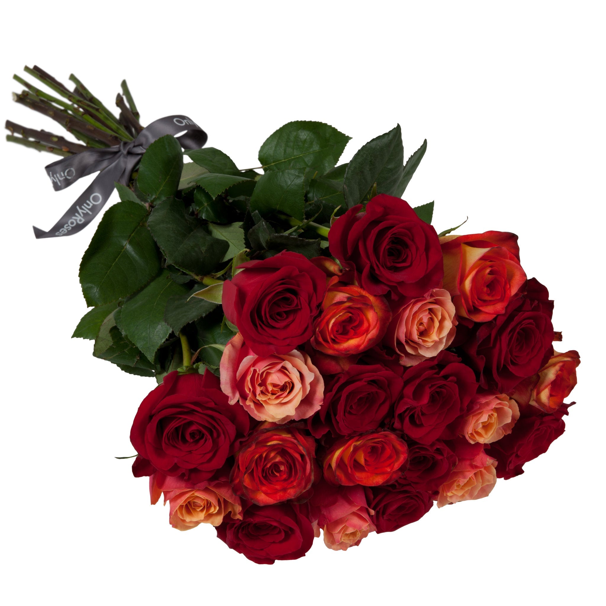 Bouquet of red and orange roses with green leaves on a white background