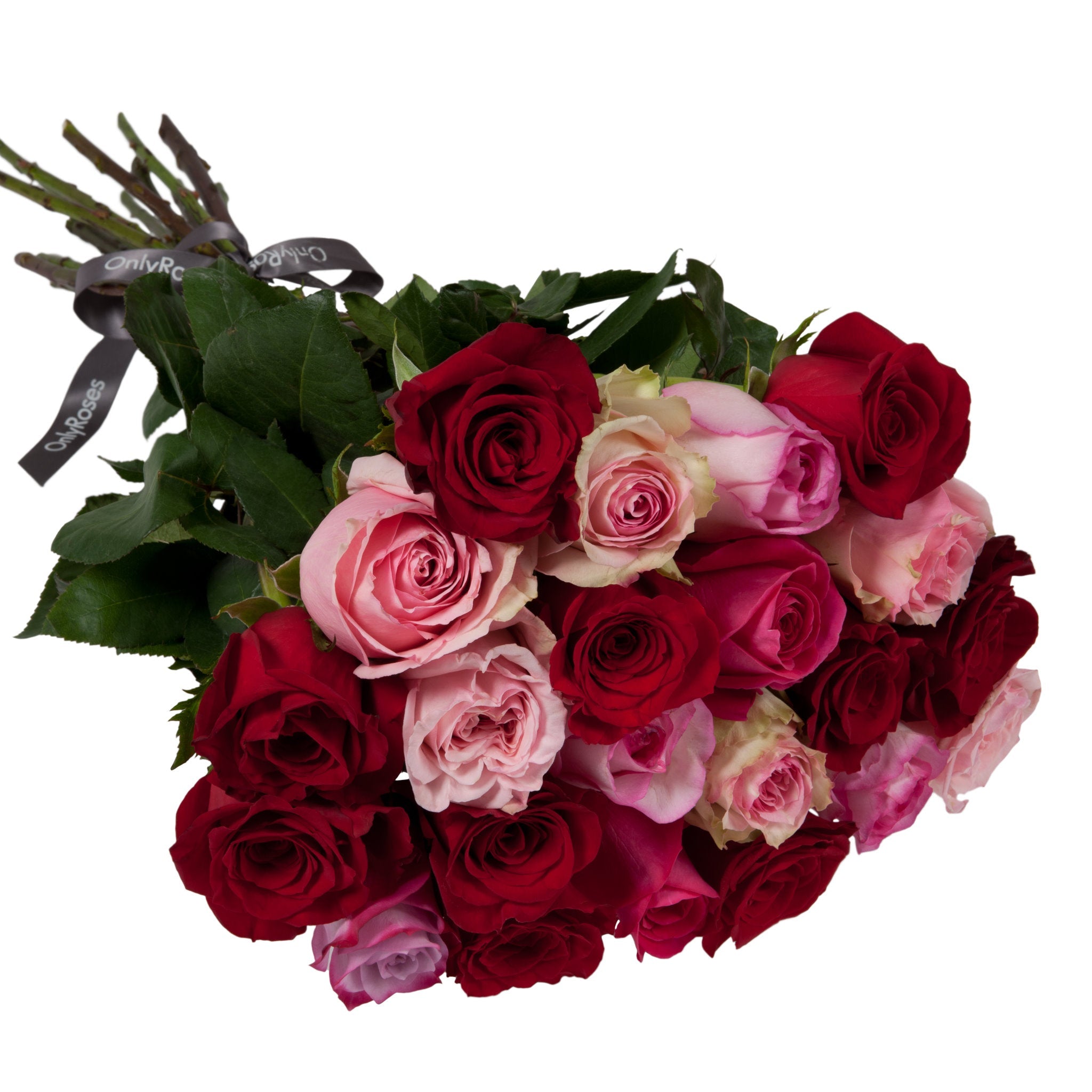 Bouquet of red and pink roses with green leaves on a white background