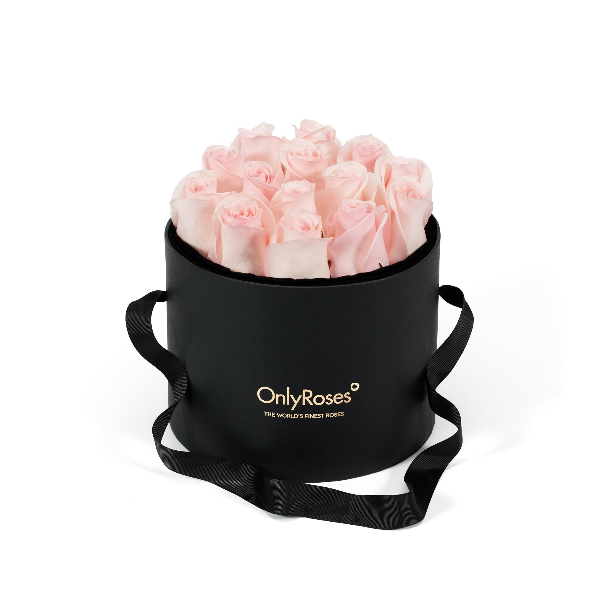 Black box with pink roses and 'Only Roses' branding on a white background