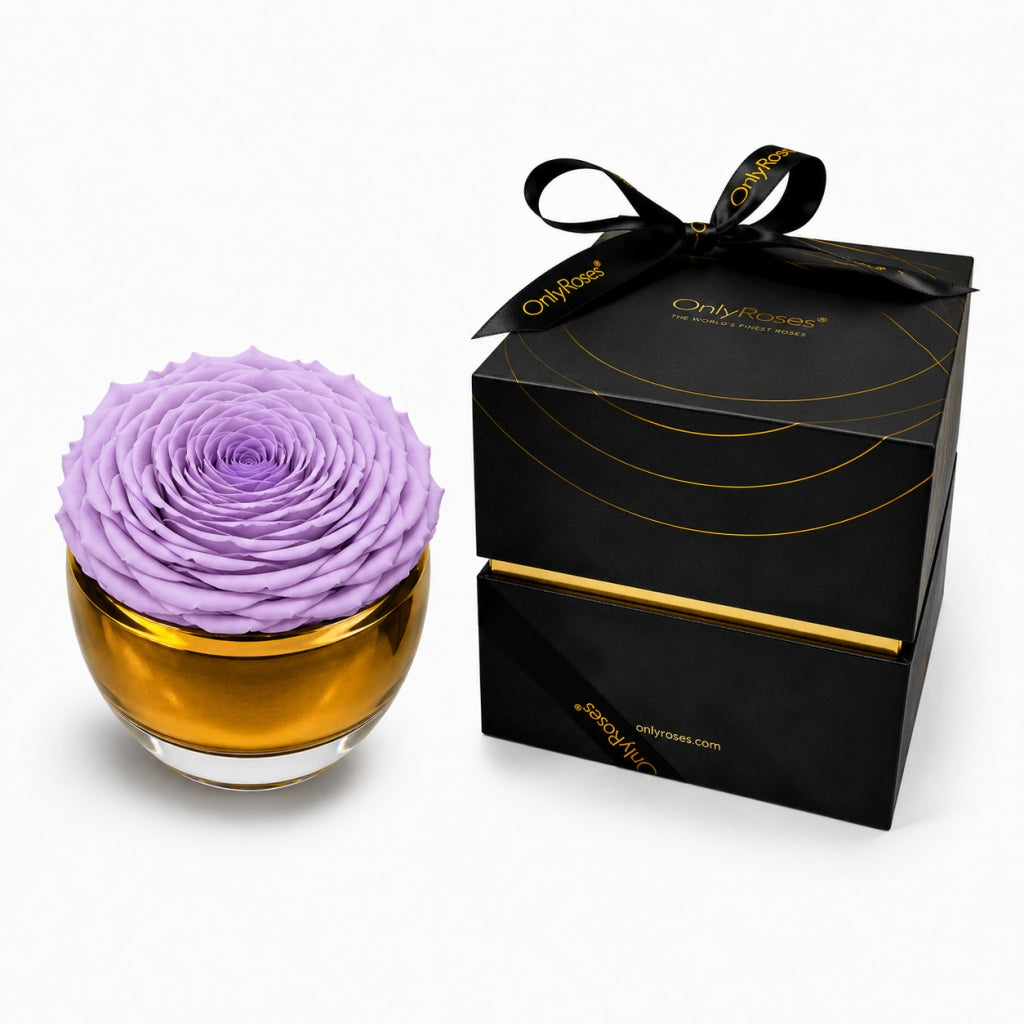 Purple flower in a glass with a black box labeled 'Only Roses' on a white background