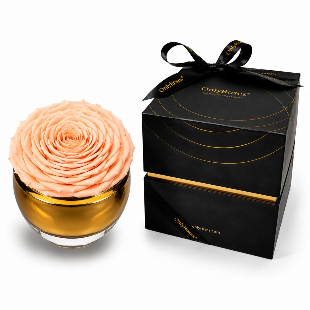 Pink rose in a glass bowl with a black box labeled 'Only Roses' on a white background
