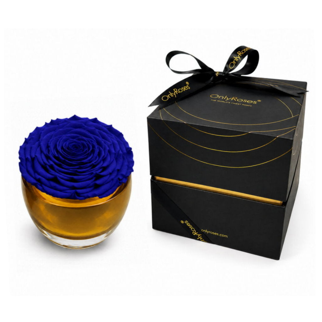 Blue rose in a gold vase with a black box labeled 'OnlyRoses' on a white background