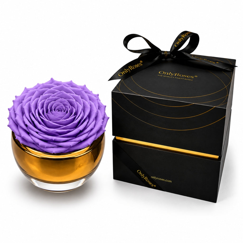 Purple rose in a gold container with a black box labeled 'Only Roses' on a white background