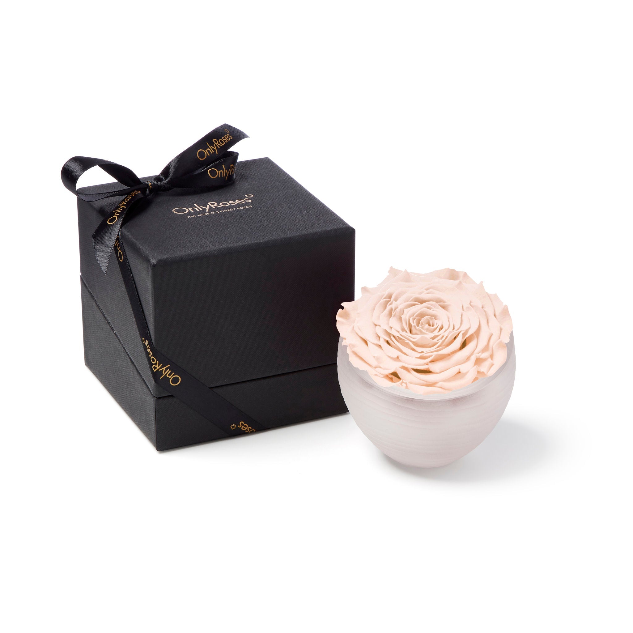 Bowl with a preserved rose next to a black gift box with a bow on a white background