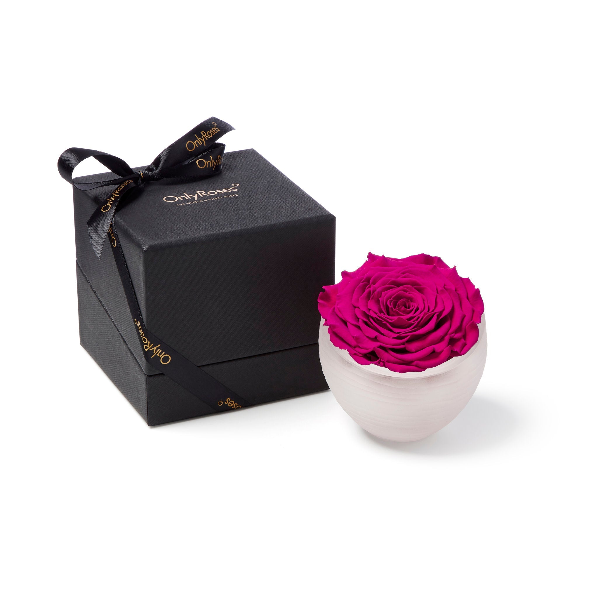 Pink rose in a white vase next to a black gift box with 'Only Roses' branding on a white background