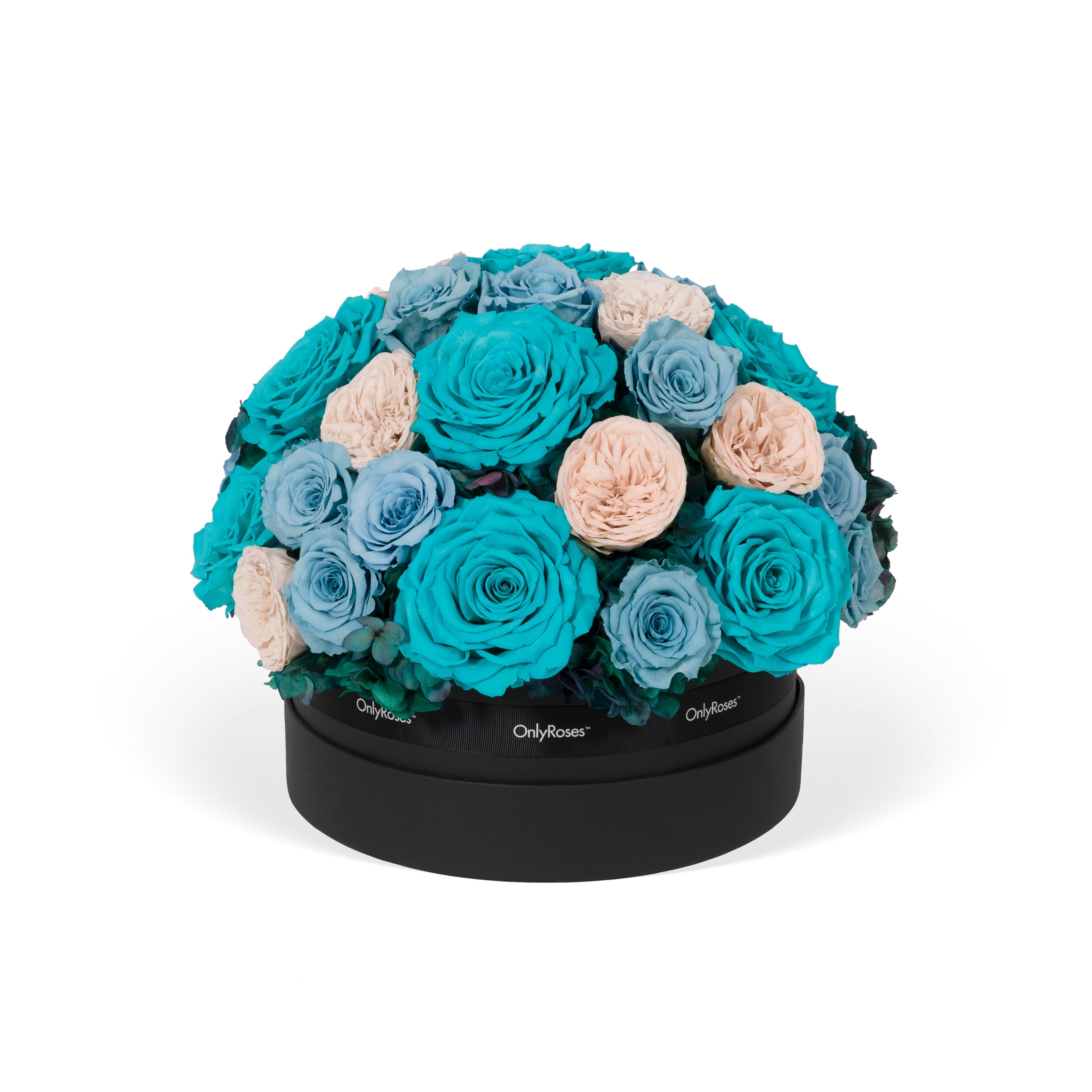 Floral arrangement in a black box with teal and beige roses on a white background