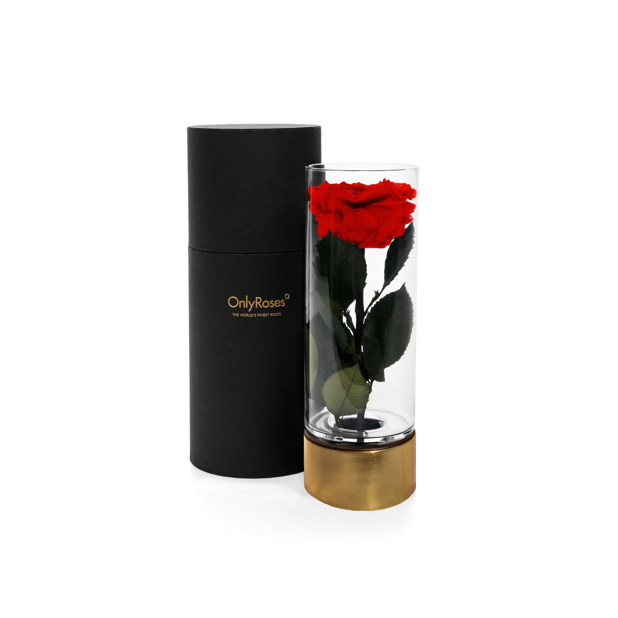 Black cylindrical container with a red rose inside a clear vase on a white background