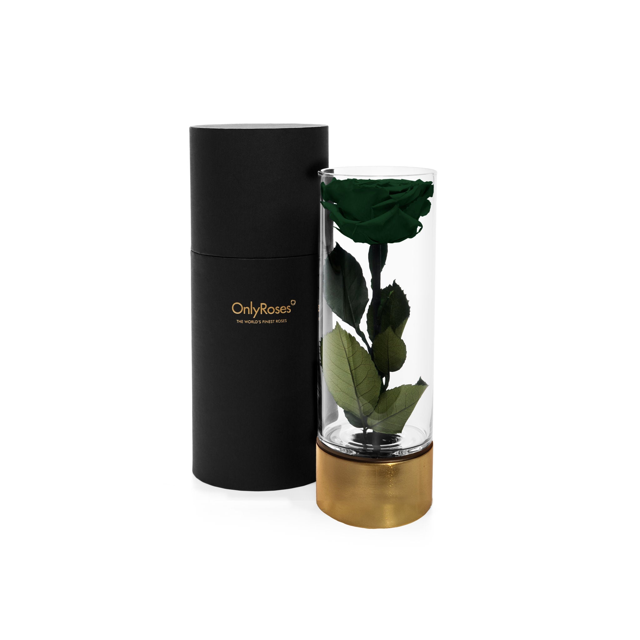Glass vase with preserved rose and leaves next to a black cylindrical container on a white background