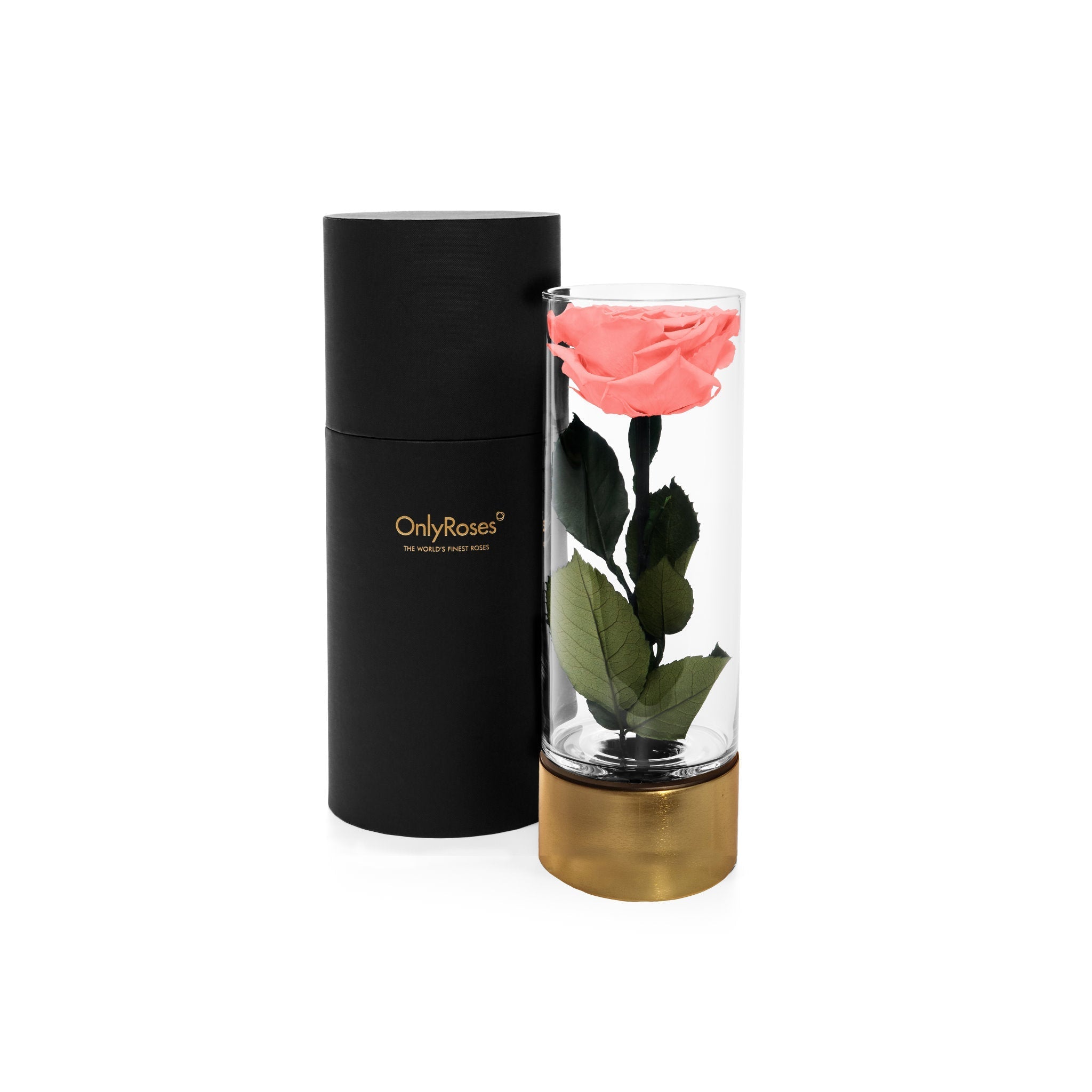 Black cylindrical container with a pink rose inside a glass holder on a white background