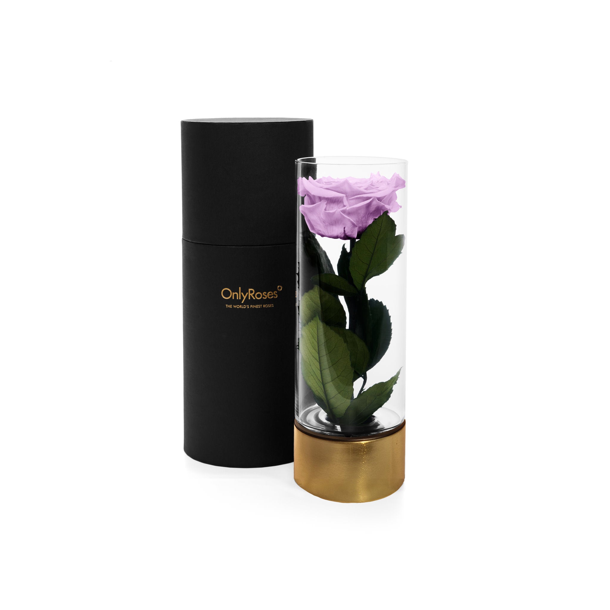 Black cylindrical container with a gold base holding a preserved pink rose on a white background