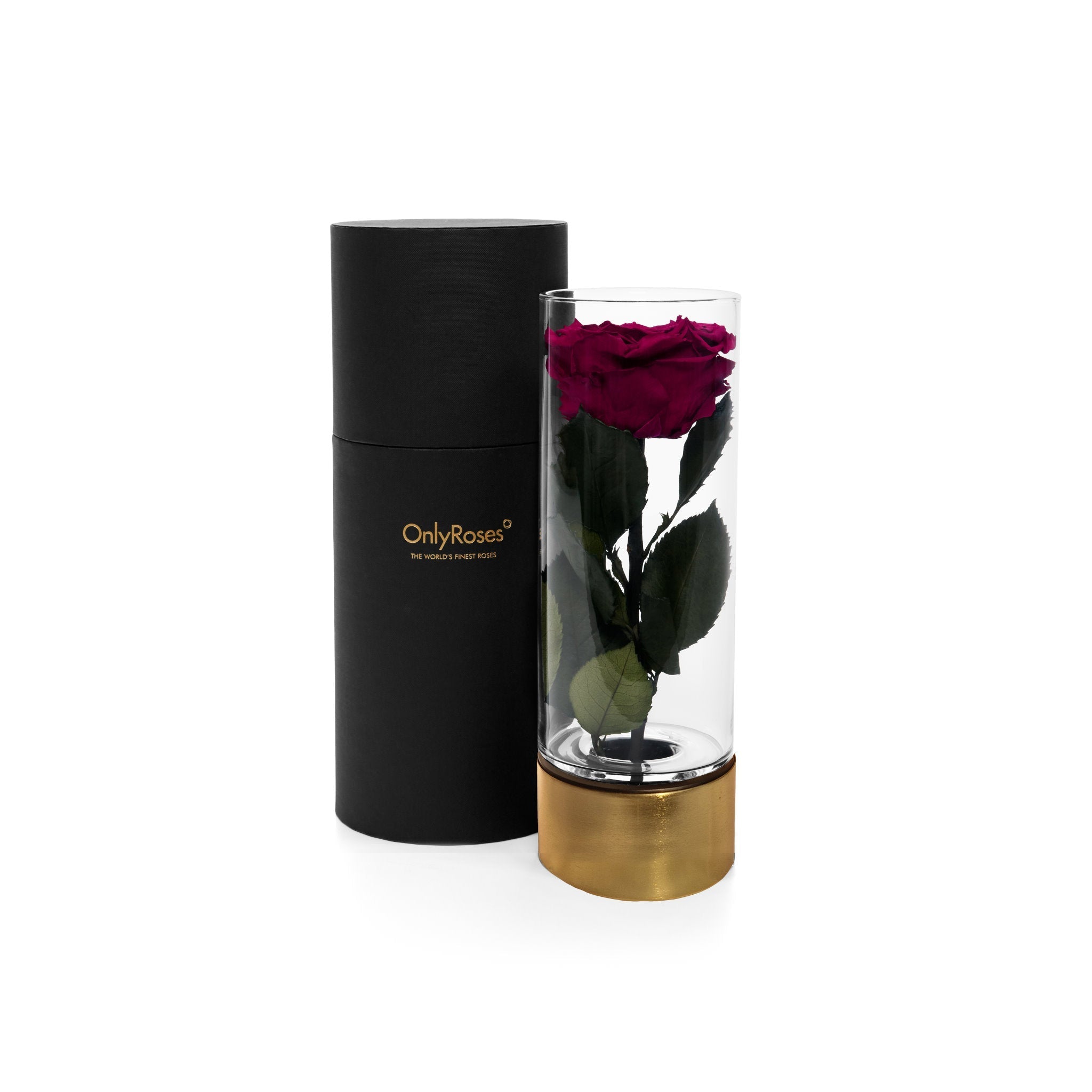 Glass vase with a preserved rose and black cylindrical container on a white background