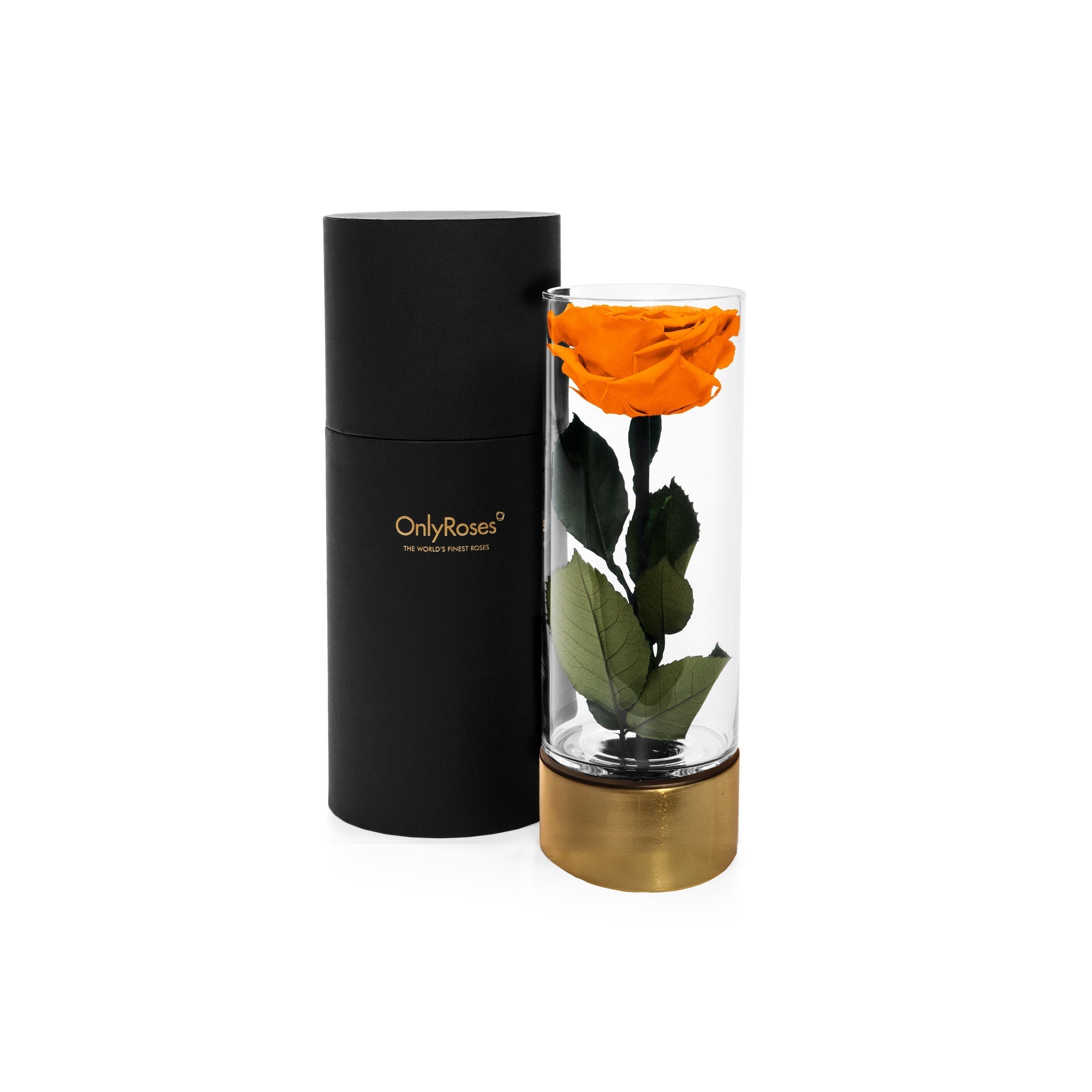 Black cylindrical container with 'Only Roses' branding next to a glass vase with an orange rose inside on a white background.