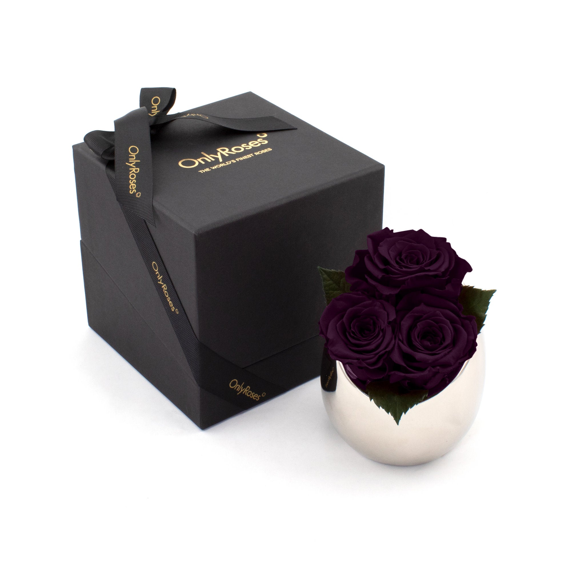 Black gift box with 'Only Roses' branding, containing a silver vase with purple roses on a white background.