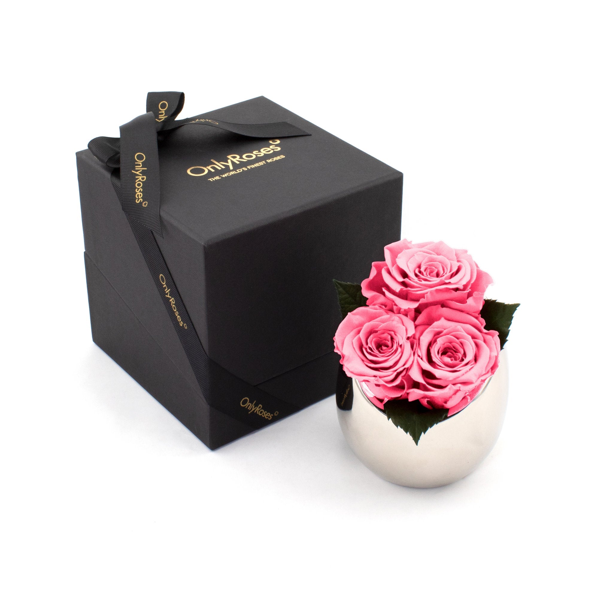 Pink roses in a white vase next to a black box with 'Only Roses' branding on a white background