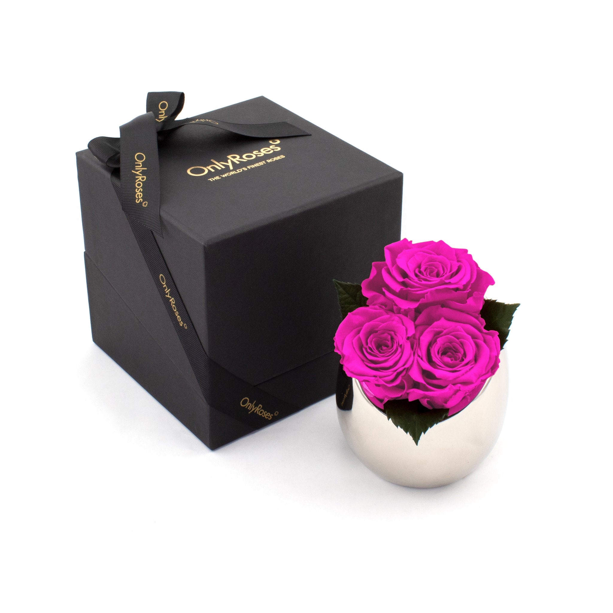 Pink roses in a white vase next to an 'Only Roses' black box on a white background