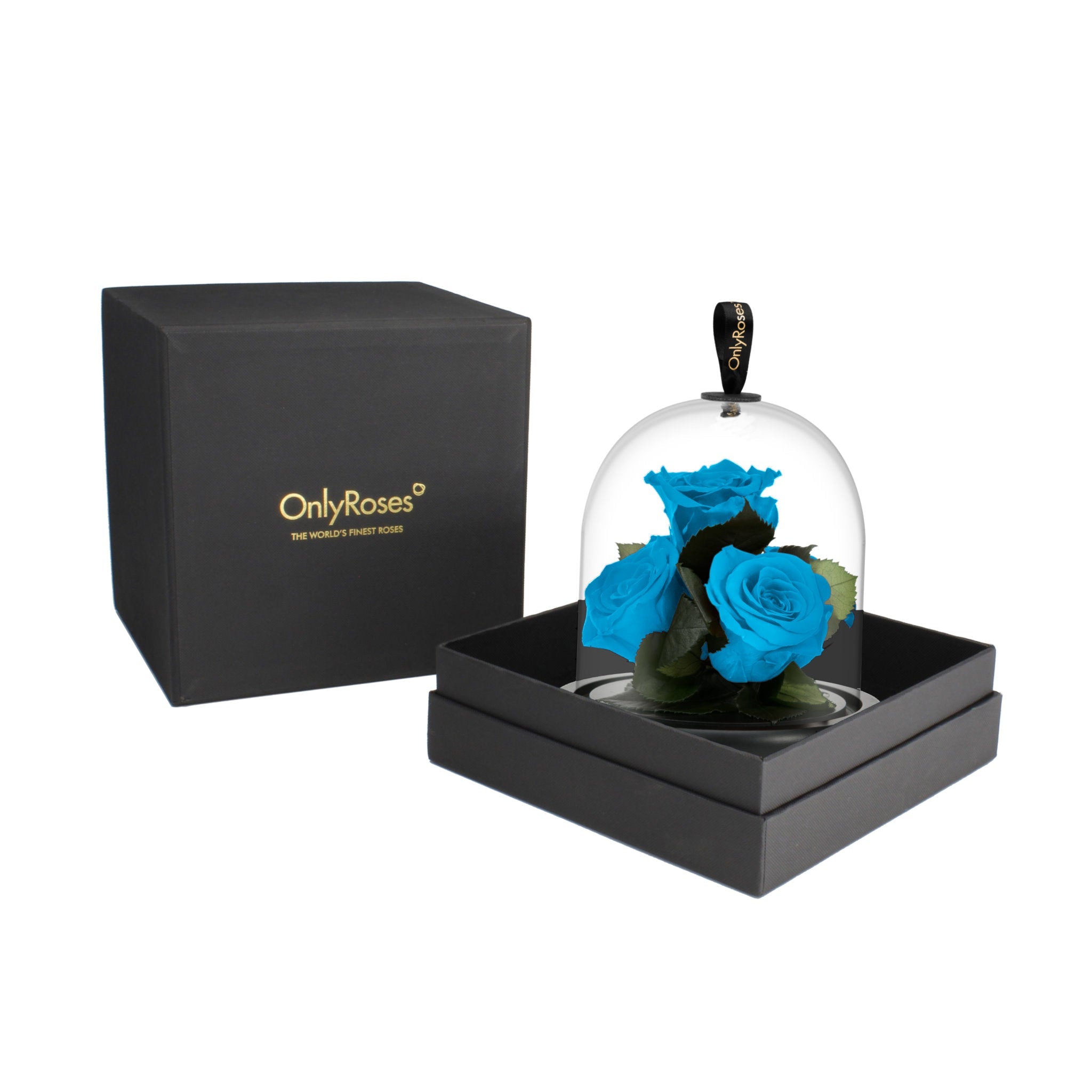 Blue roses under a glass dome in a black box with 'OnlyRoses' branding.