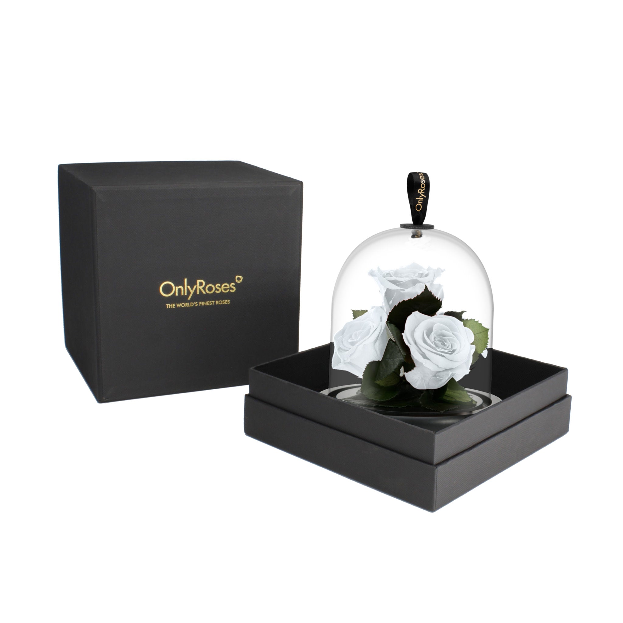 Glass dome with white roses inside, black box with 'OnlyRoses' branding on a white background