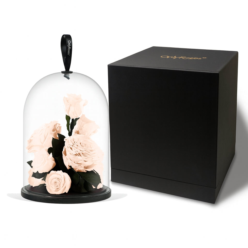 Glass dome with preserved flowers and a black box on a white background