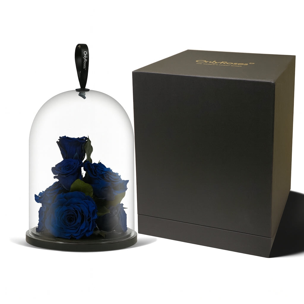 Glass dome with blue roses and a black box on a white background