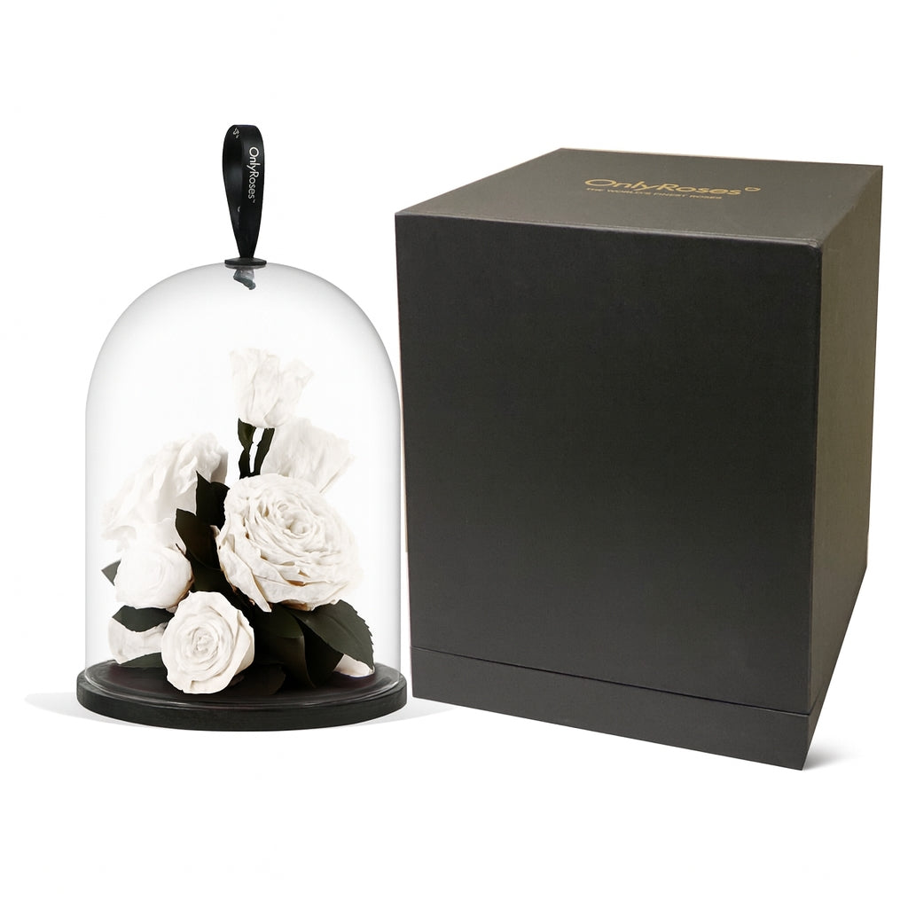 Glass dome with preserved flowers and a black box on a white background