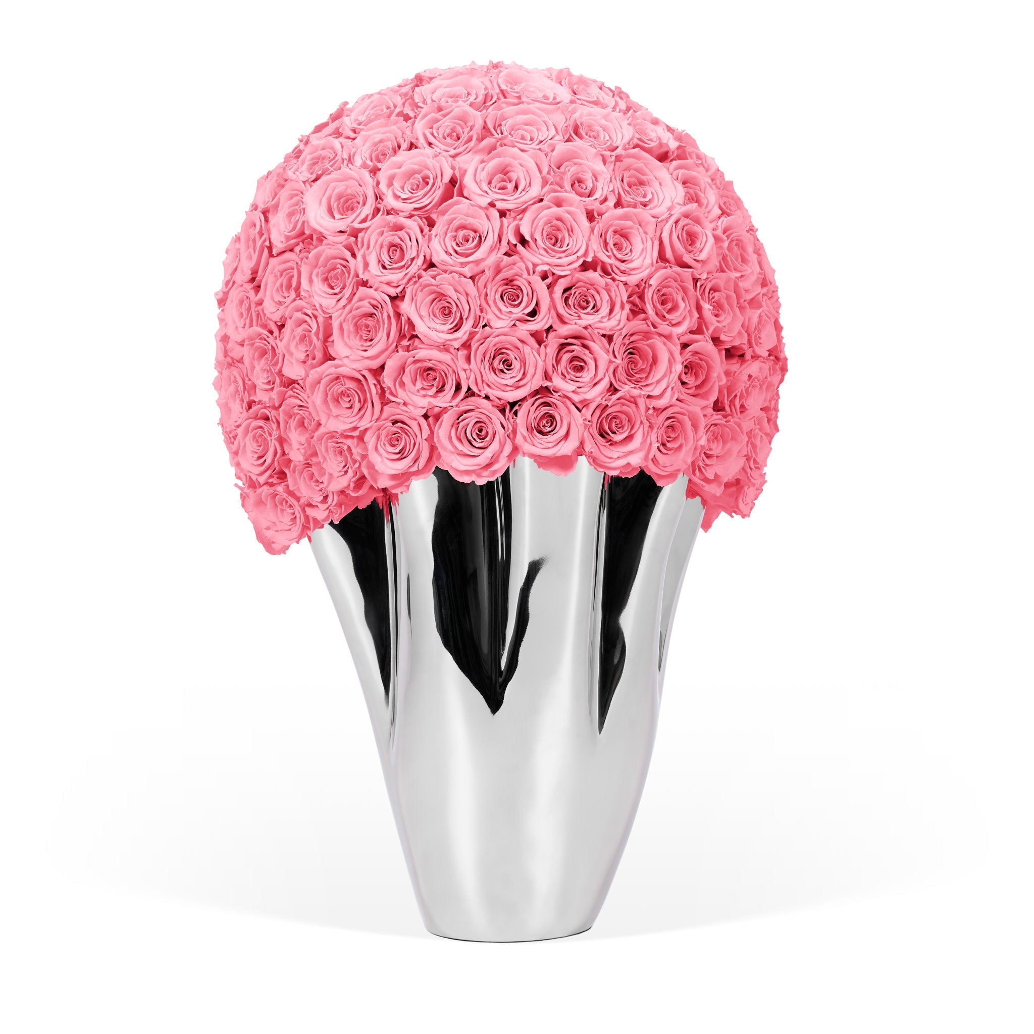 Silver vase with a large ball of Pink roses on a white background