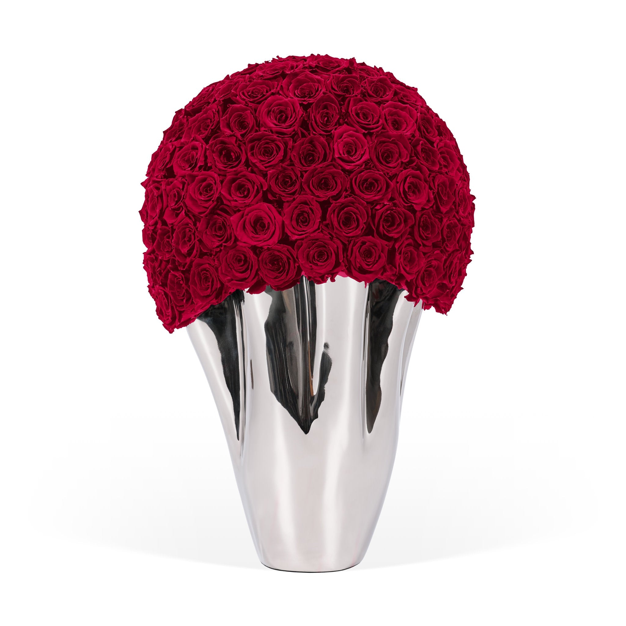Silver vase with a large ball of red roses on a white background