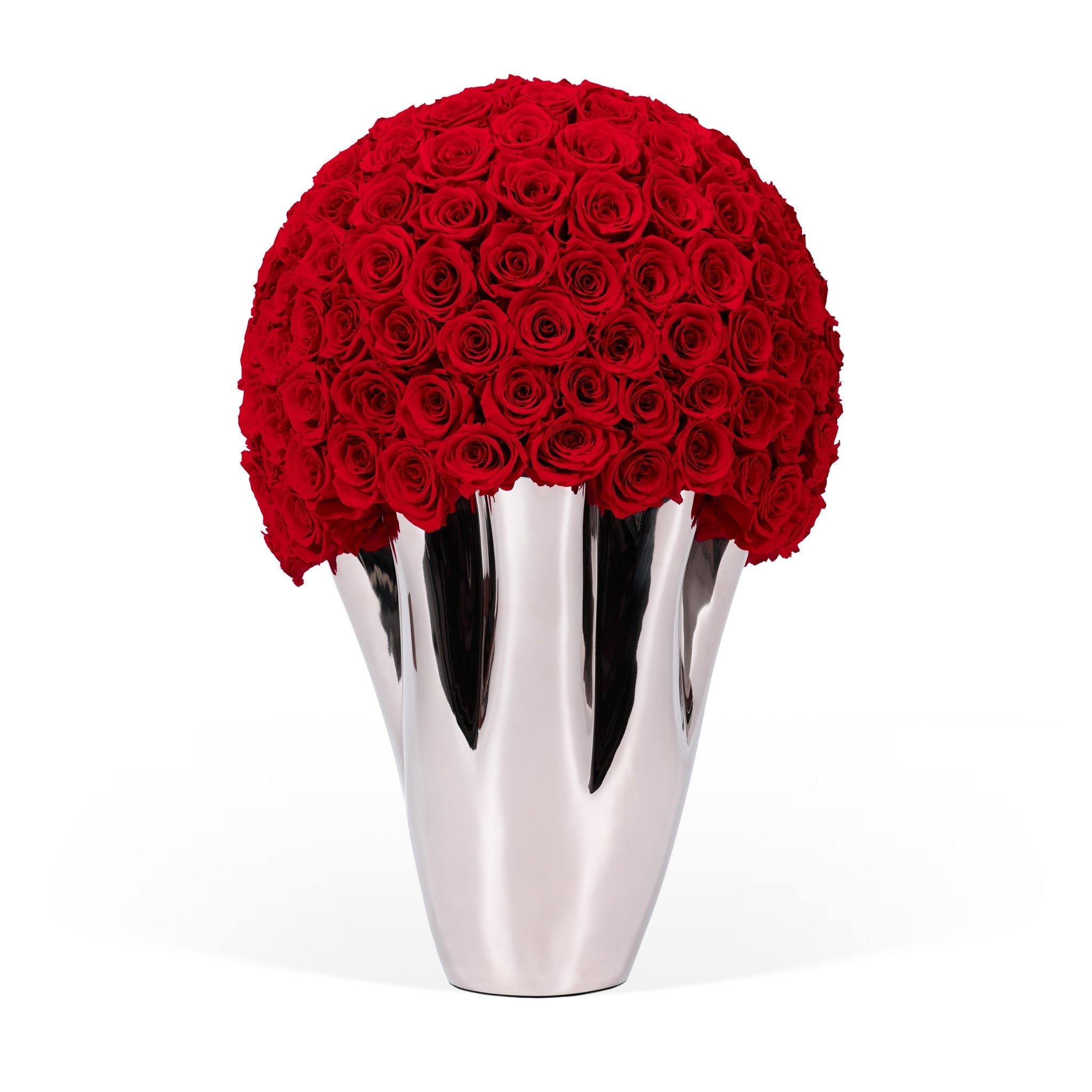 Silver vase with red roses on a white background