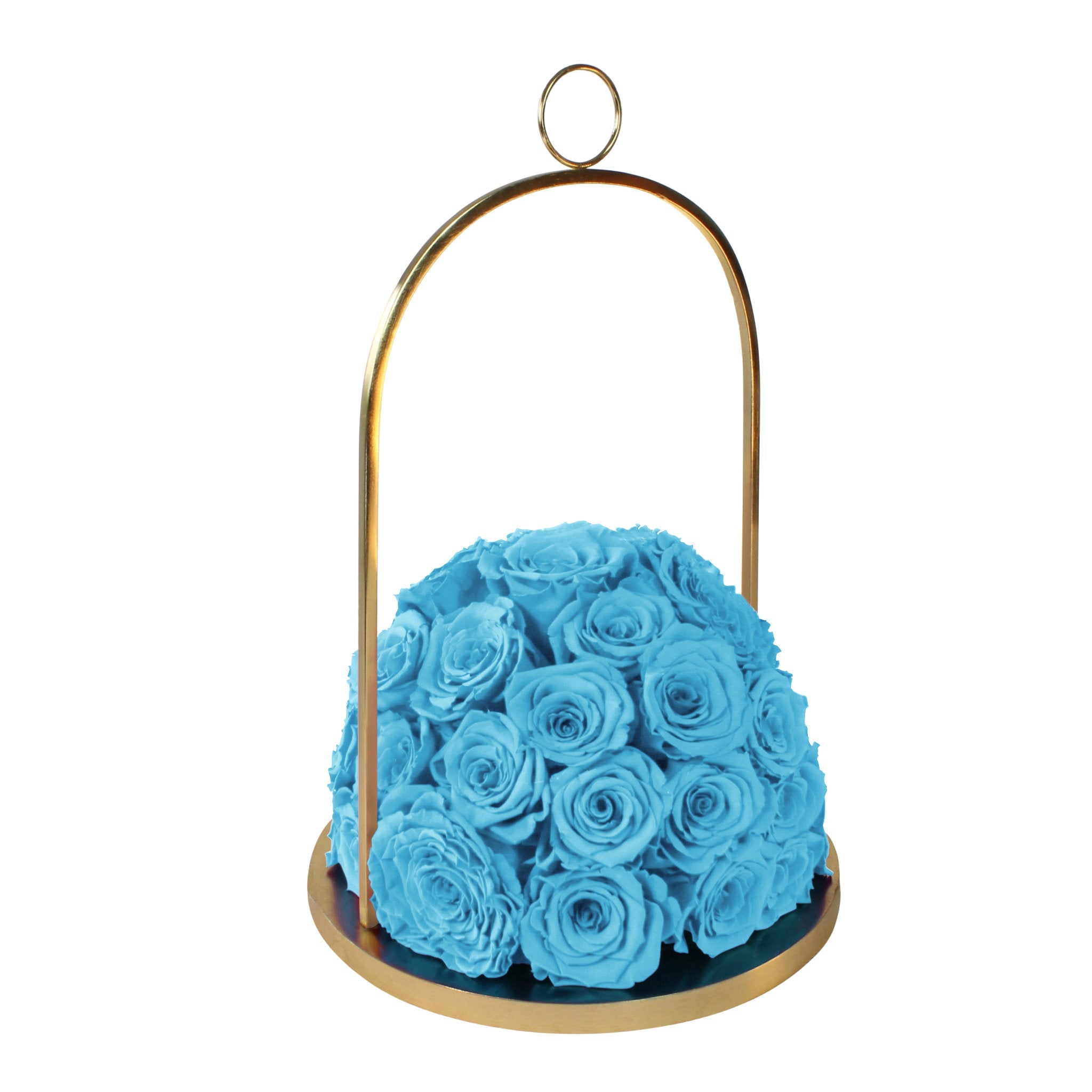 Gold hoop with blue roses on a white background