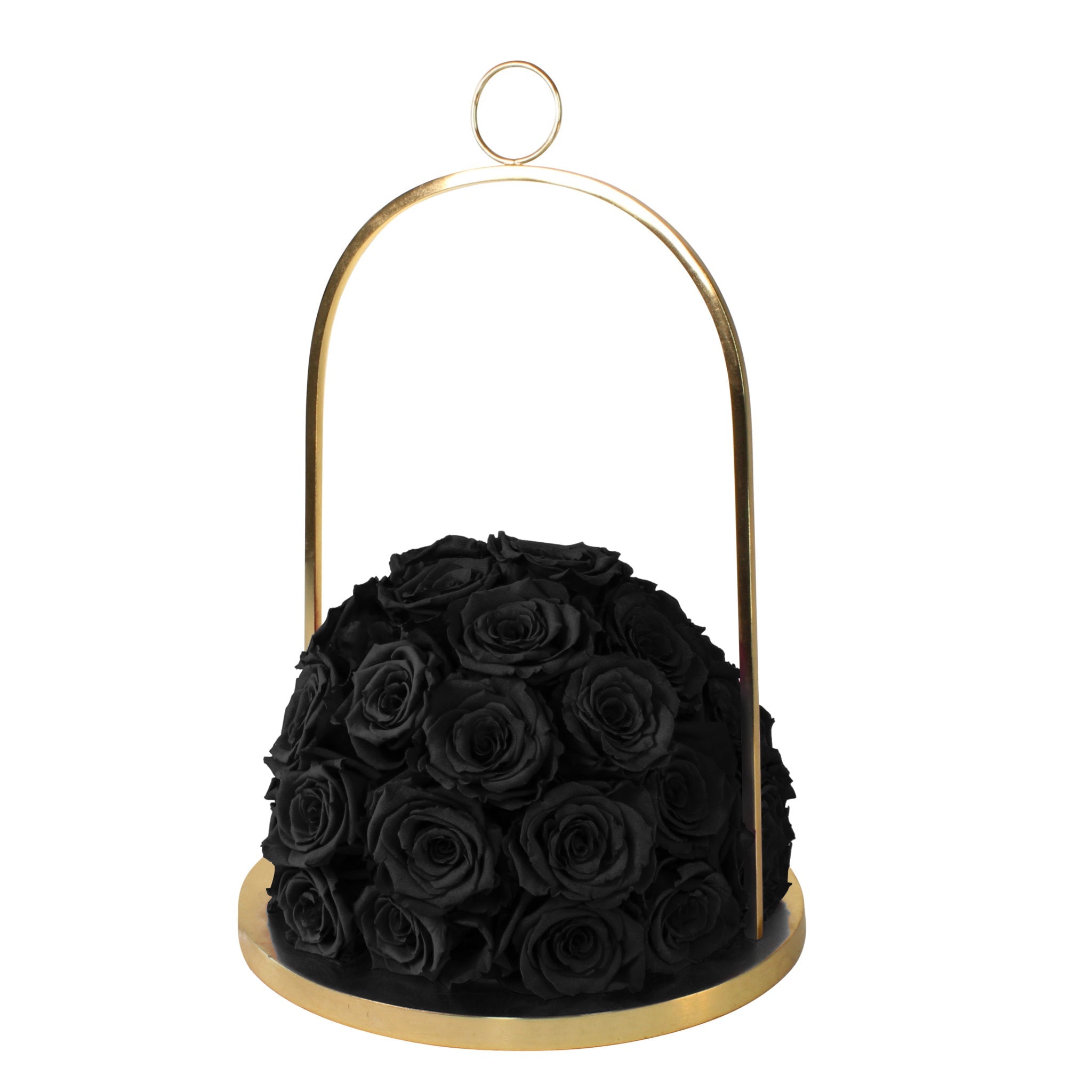 Black roses in a gold holder on a white background