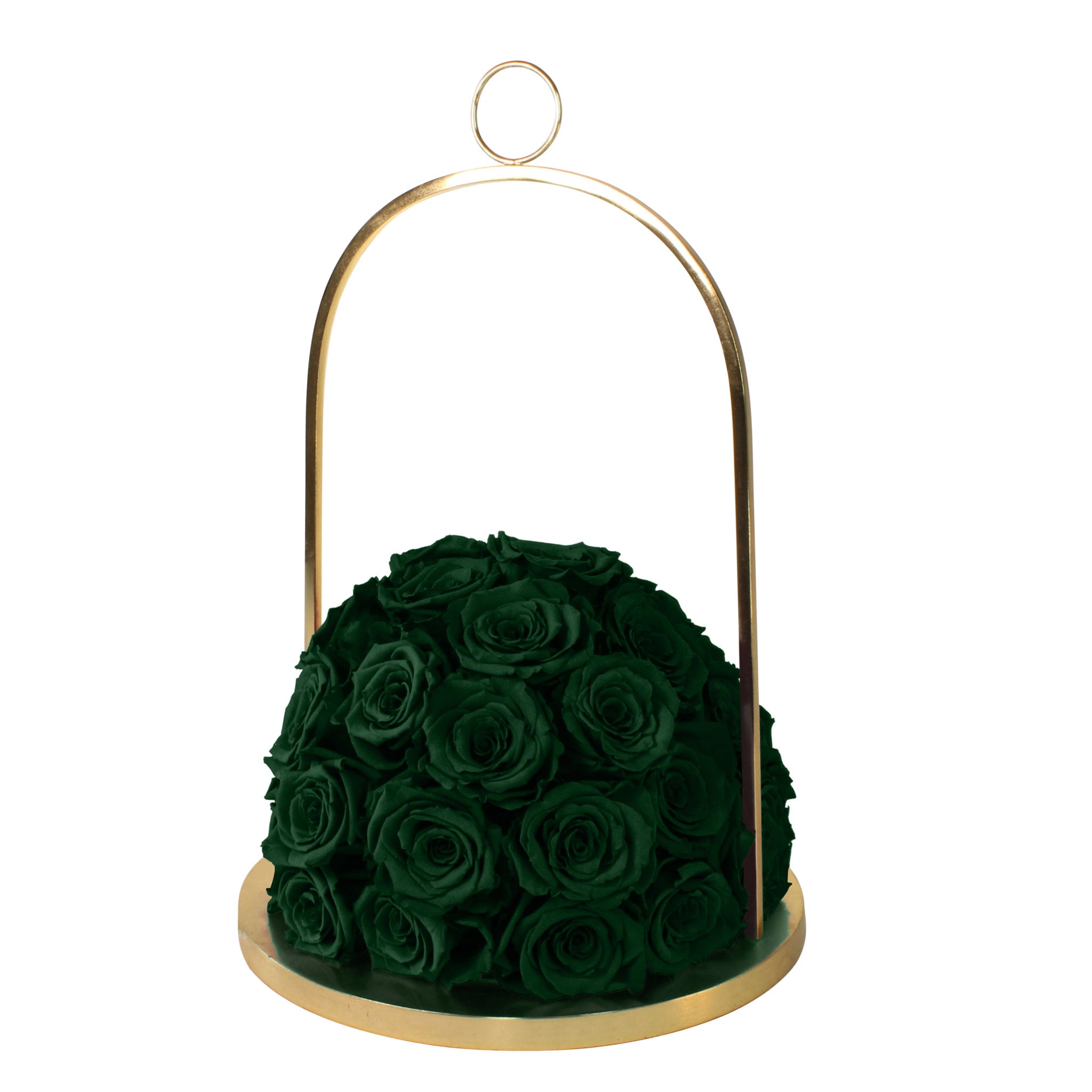 Green roses in a gold metal holder on a white background