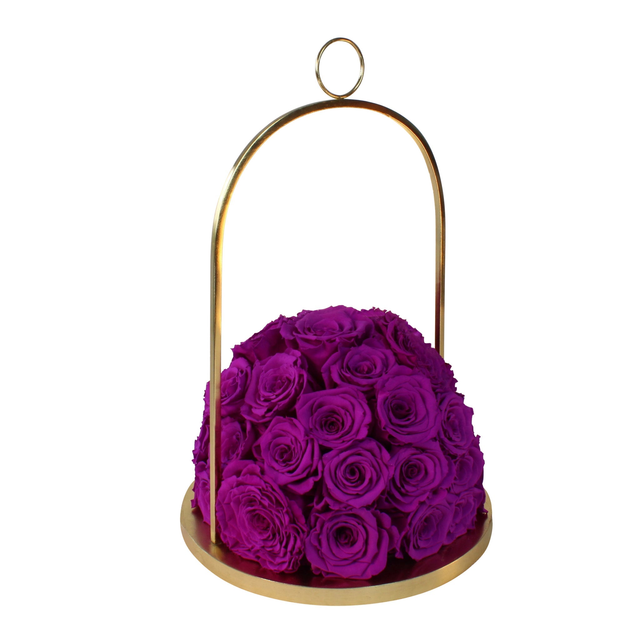 Purple roses in a gold holder on a white background