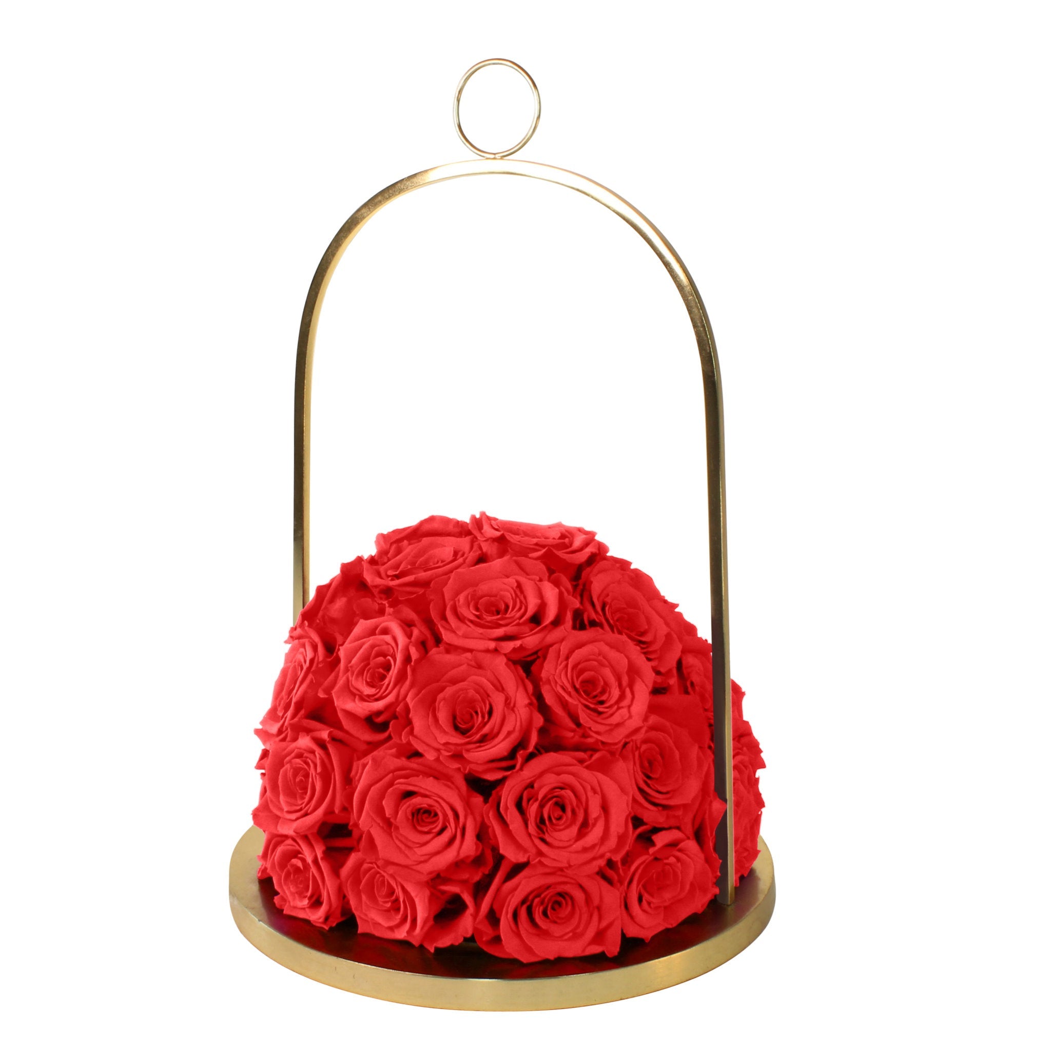 Red roses in a gold holder on a white background