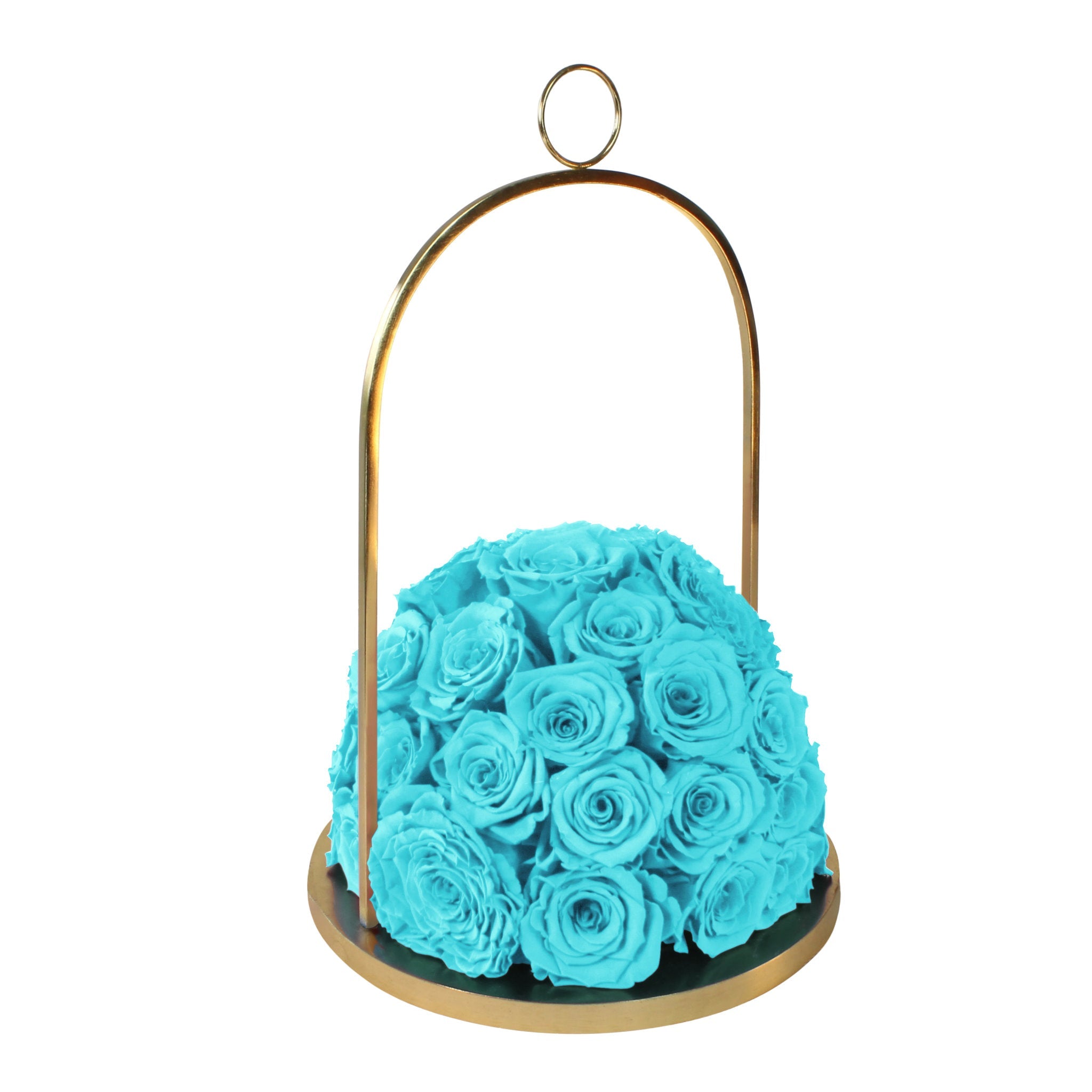Hanging basket with turquoise roses on a white background