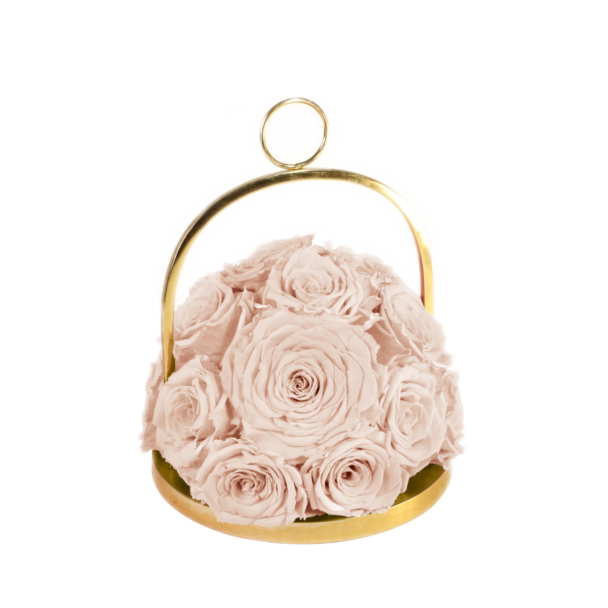 Pink roses in a gold metal basket on a white background