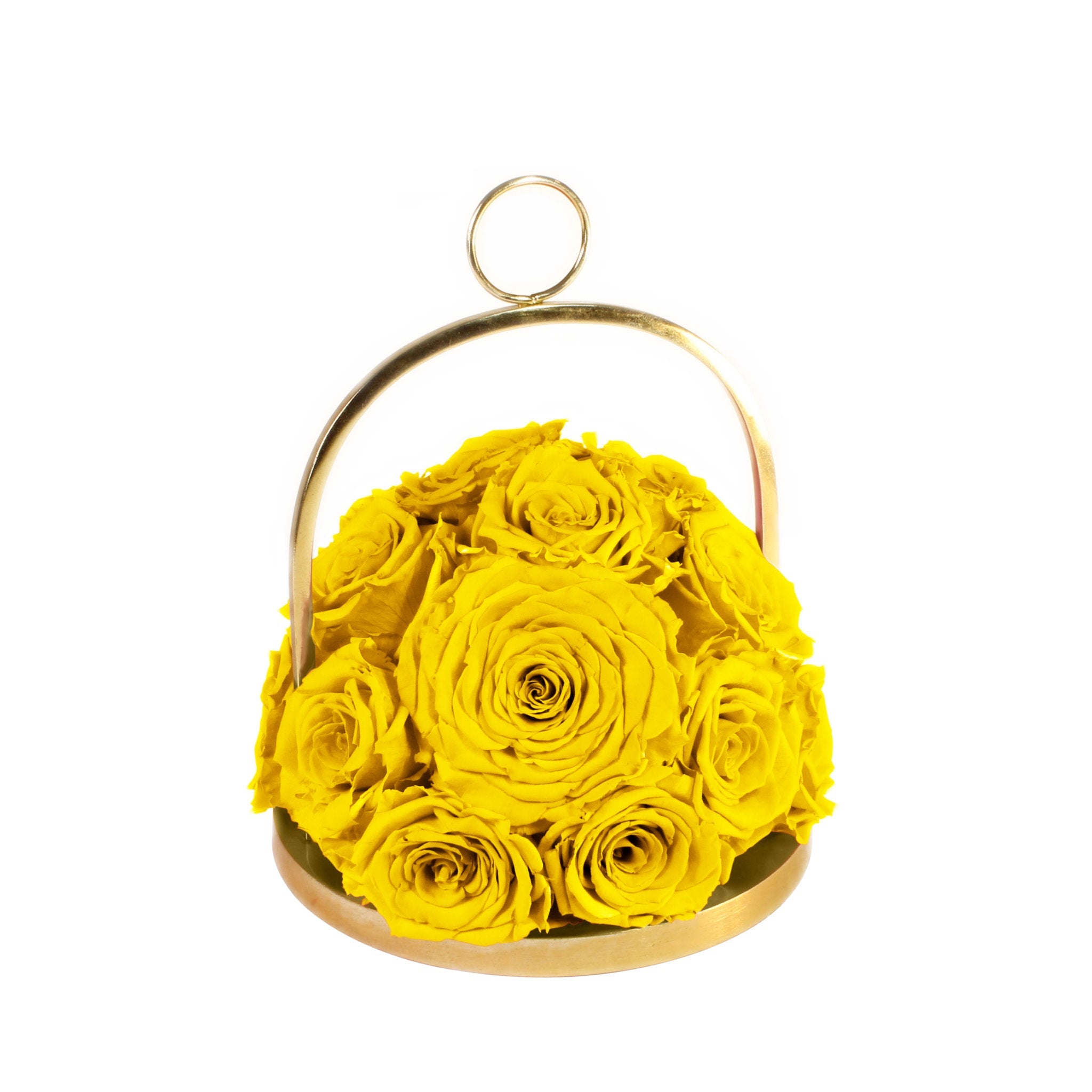 Yellow roses in a gold metal holder on a white background