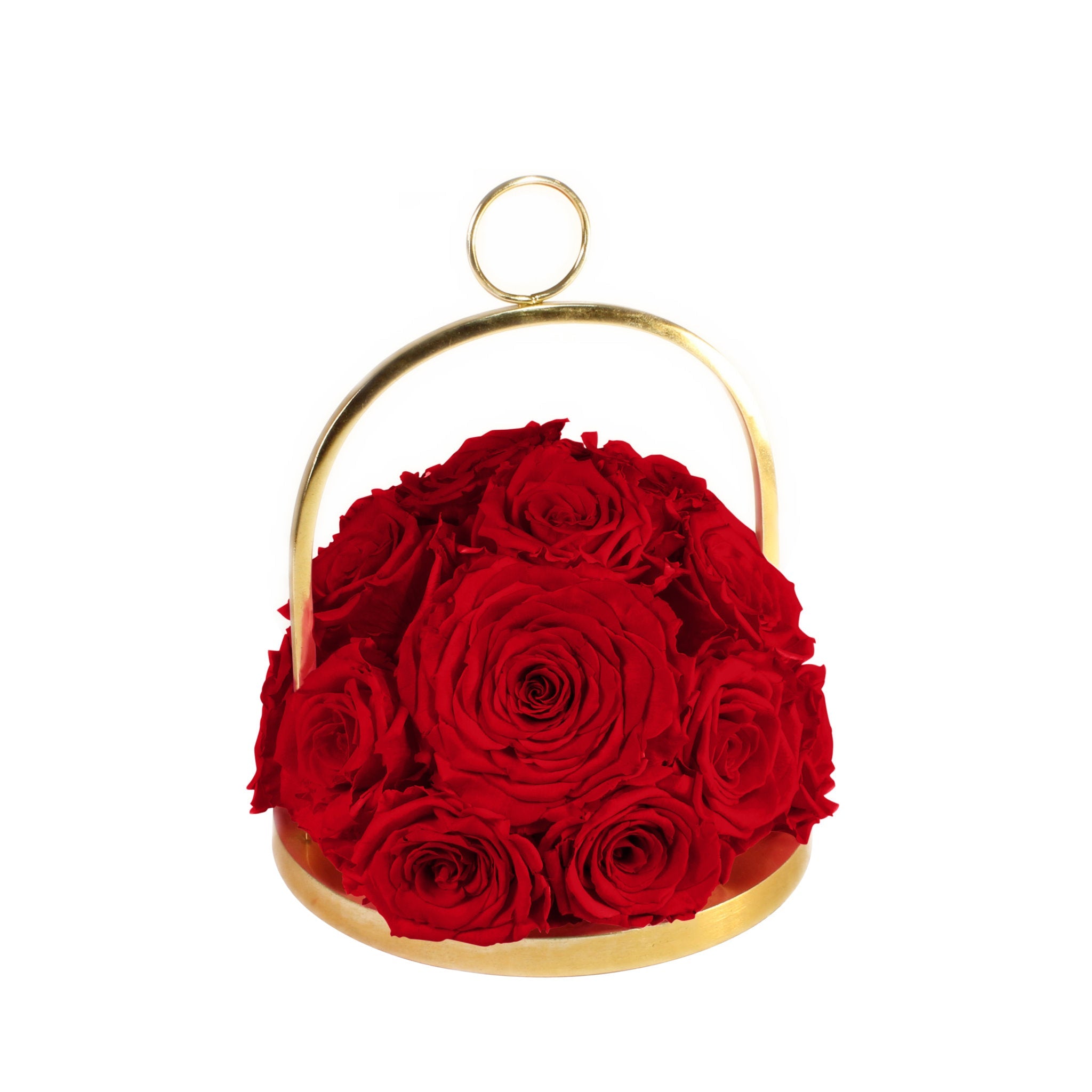 Gold hoop with red roses on a white background