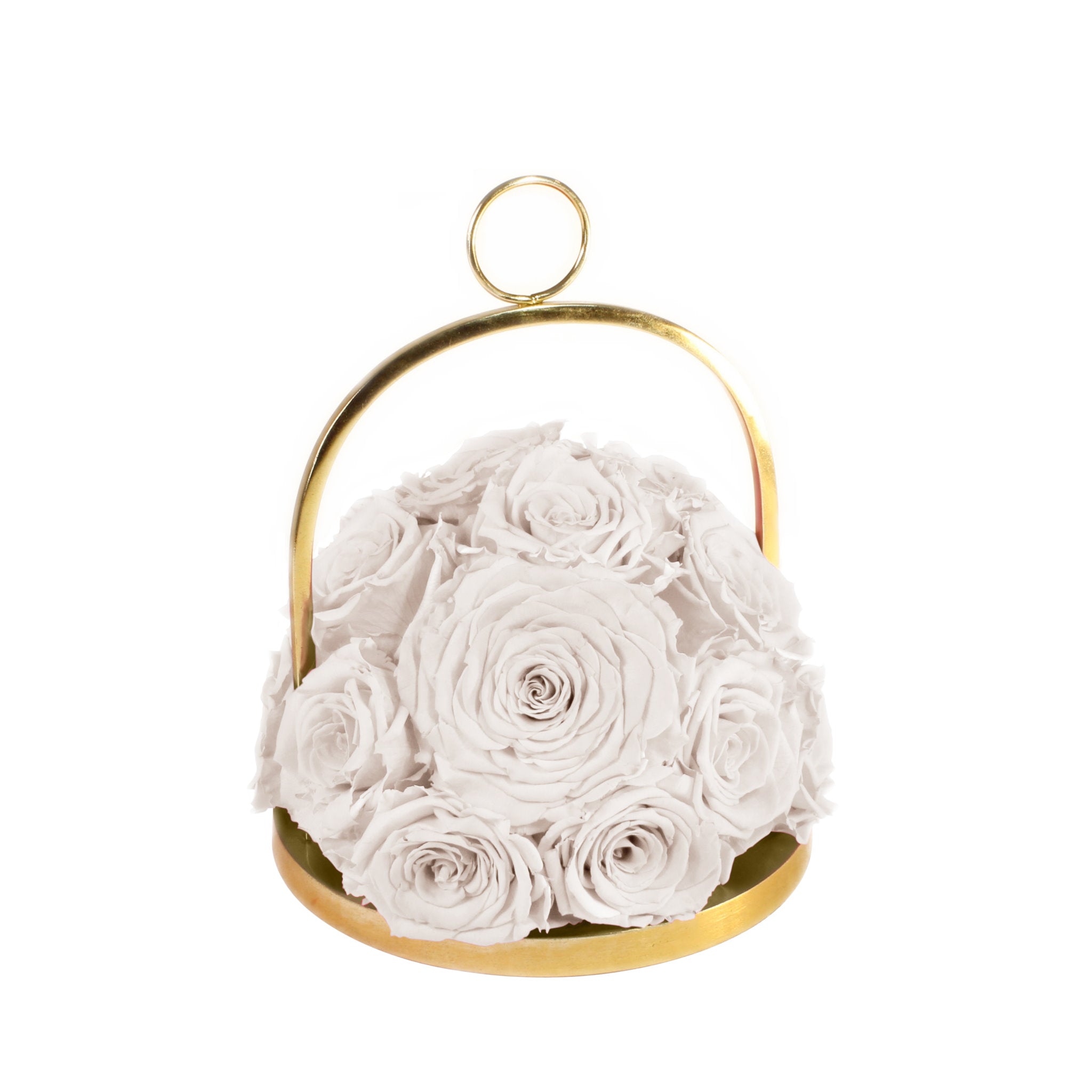 Gold hoop with white roses on a white background