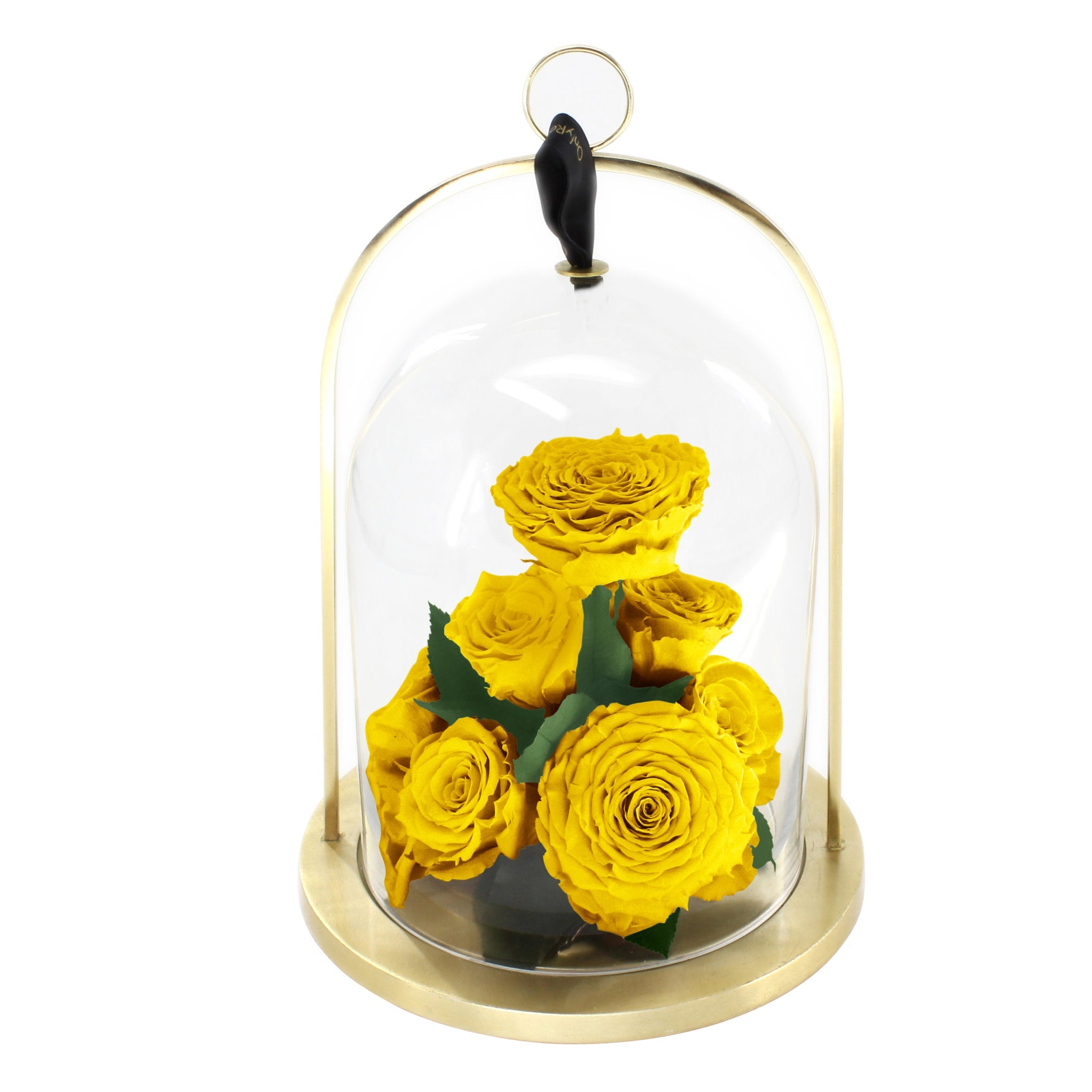 Yellow roses under a glass dome with a gold base on a white background